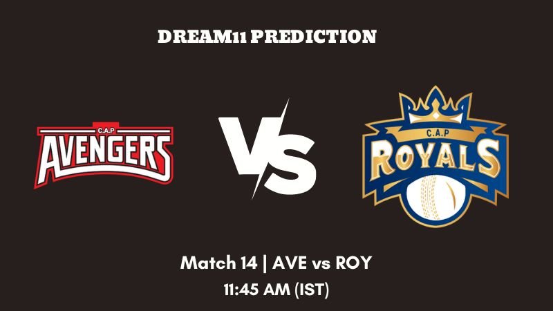 Siechem Pondicherry T10 2023 Match 14 AVE vs ROY Dream11 Prediction, Fantasy Tips