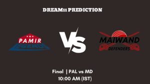 Afghan OD Cup 2023 Final PAL vs MD Dream11 Prediction, Fantasy Tips